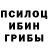 Галлюциногенные грибы мицелий Eternal.bit