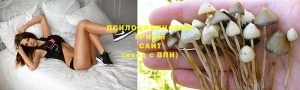 не бодяженный Арсеньев
